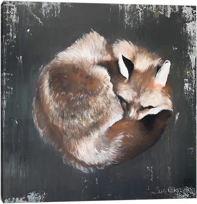 Sleeping Fox No. 11 Canvas Art Print