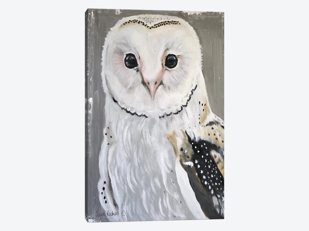 Barn Owl by Suzi Redman 1-piece Canvas Print
