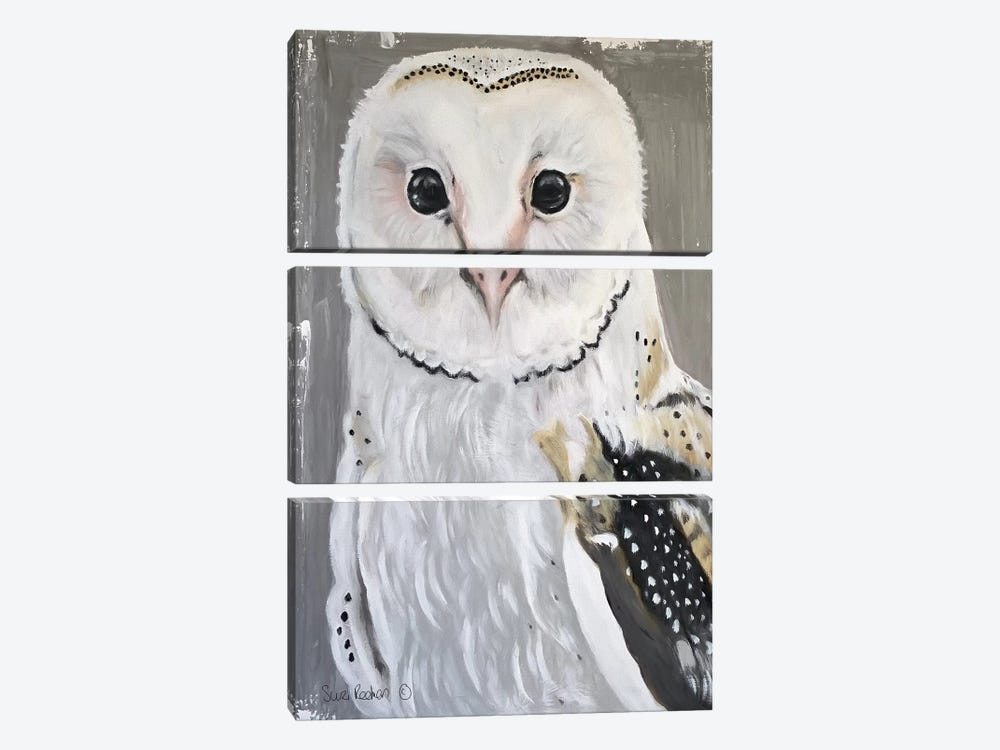 Barn Owl by Suzi Redman 3-piece Canvas Art Print