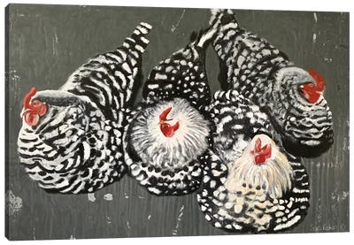 Four Hens Canvas Art Print