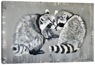 Two Raccoons Canvas Art Print