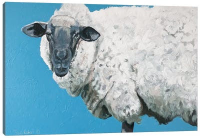 Wooly Sheep Canvas Art Print