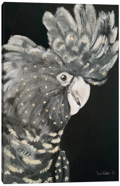 Gray Cockatoo Canvas Art Print