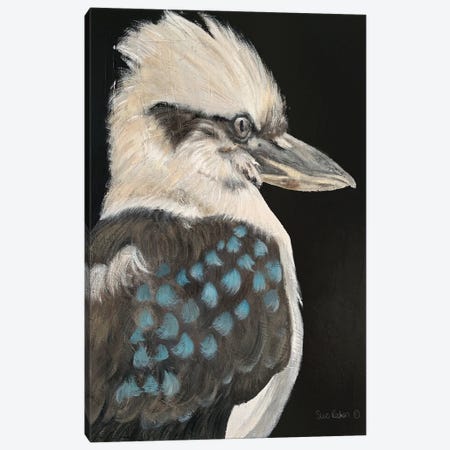 Kookaburra Canvas Print #SRE29} by Suzi Redman Canvas Artwork