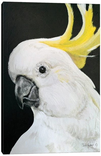 White Cockatoo Canvas Art Print