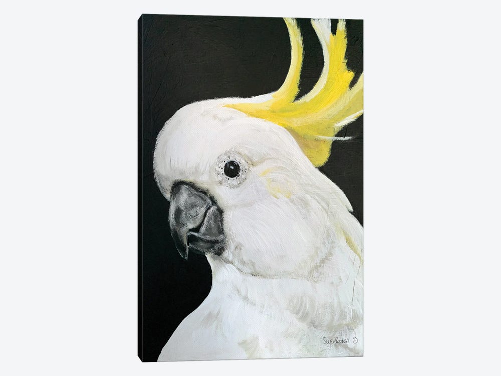 White Cockatoo by Suzi Redman 1-piece Canvas Artwork