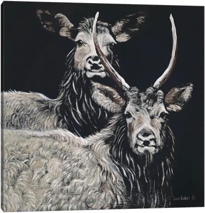 Two Woodland Deer Canvas Art Print