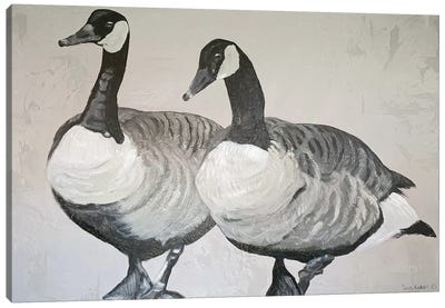 Ducks Canvas Art Print