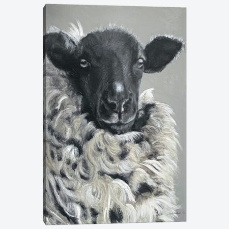 Sheep Canvas Print #SRE37} by Suzi Redman Canvas Artwork