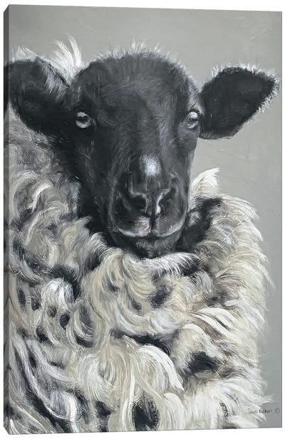Sheep Canvas Art Print