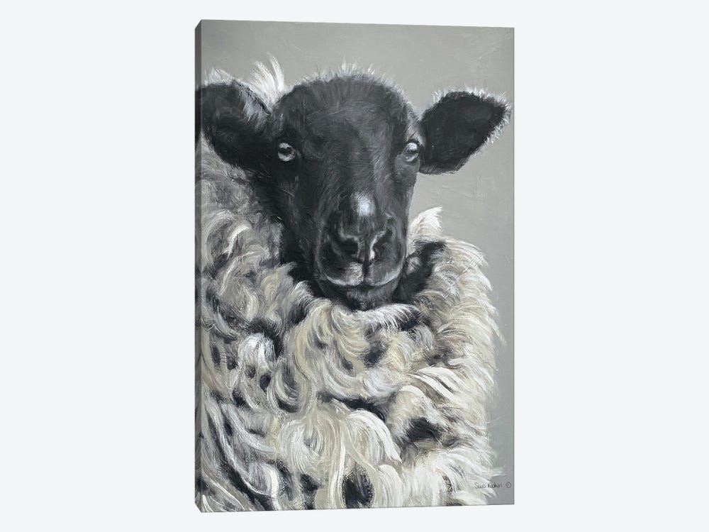 Sheep by Suzi Redman 1-piece Canvas Wall Art