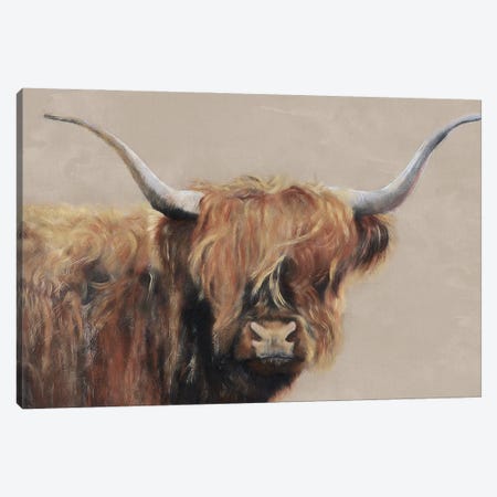 Highland Cow Canvas Print #SRE38} by Suzi Redman Canvas Print