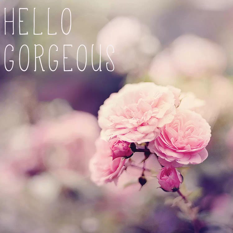 Hello Gorgeous by Sarah Gardner wall art