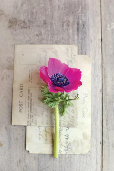 Love Note by Sarah Gardner gallery poster