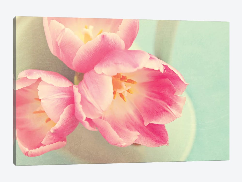 Resplendent Blossoms by Sarah Gardner 1-piece Canvas Print