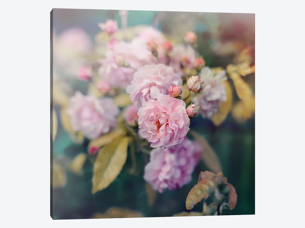Season Of Blossoms by Sarah Gardner 1-piece Art Print
