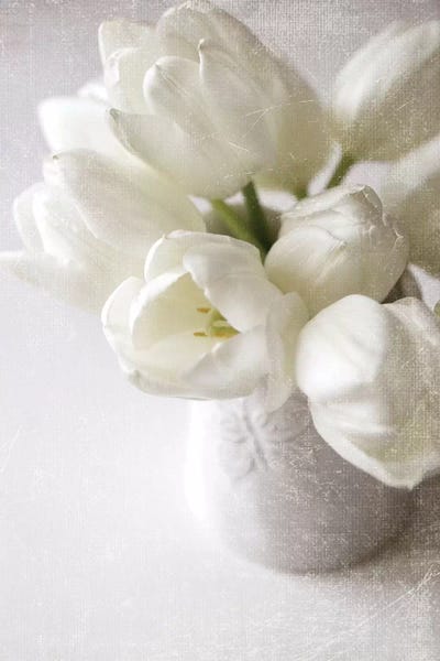 Vanishing In The White Elegance by Sarah Gardner gallery poster