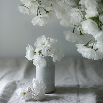 Baby Blooms by Sarah Gardner gallery poster