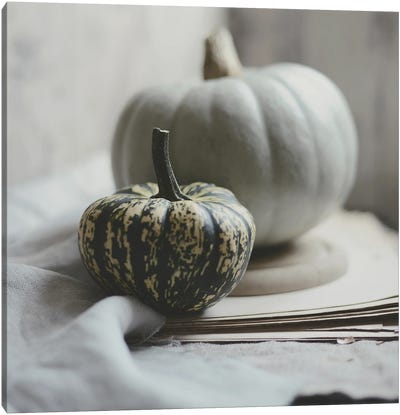 Fall Bunches Canvas Art Print - Pumpkins