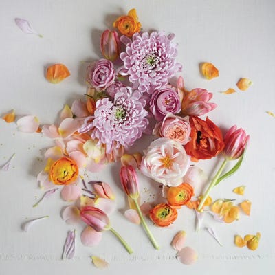 Fresh Bloom by Sarah Gardner gallery poster