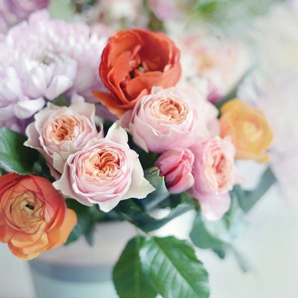 Sarah Gardner: Fresh Bouquet by Sarah Gardner