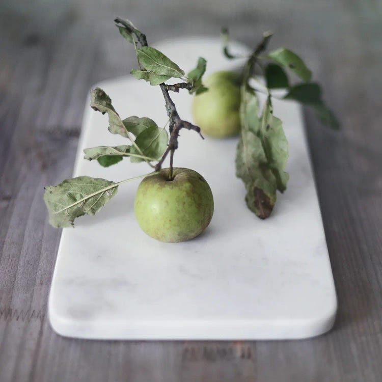 Growth Begins by Sarah Gardner wall art