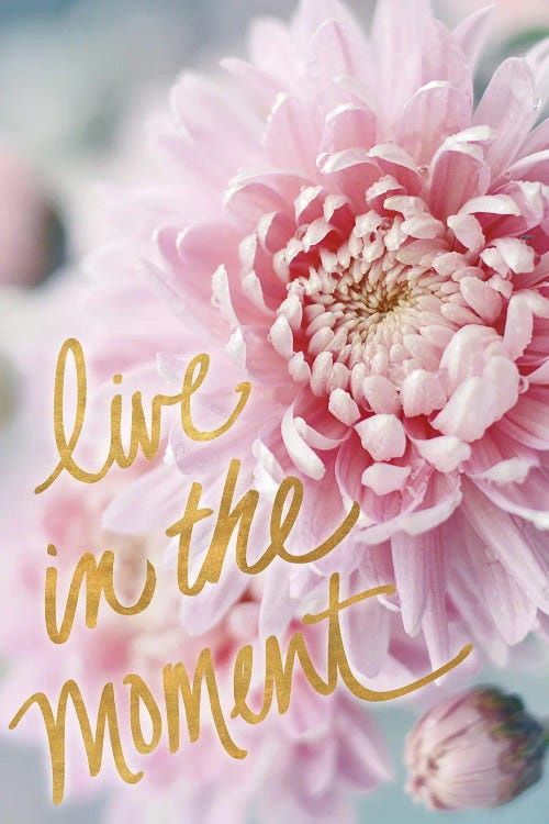 Live in the Moment