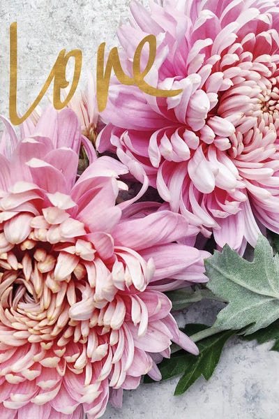 Love by Sarah Gardner gallery poster