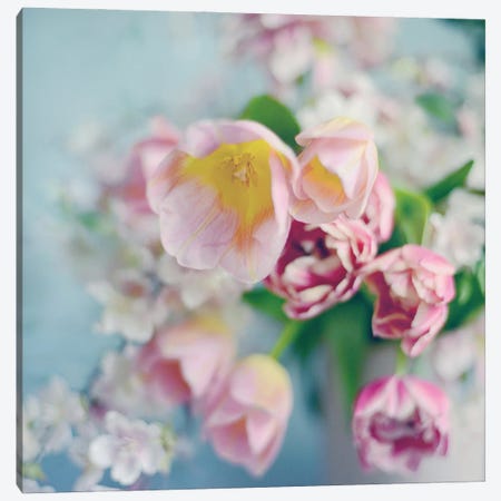 Pulled from the Garden I Canvas Print #SRH63} by Sarah Gardner Canvas Print