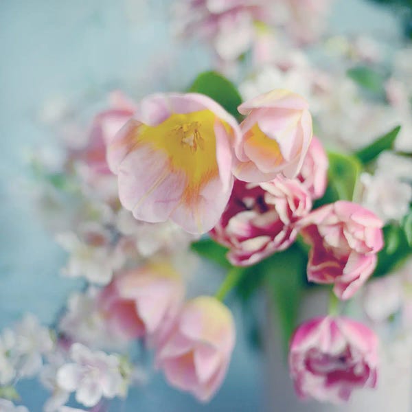 Pulled from the Garden I