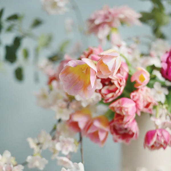 Pulled from the Garden II