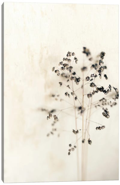 Muted Dried Branch Canvas Art Print