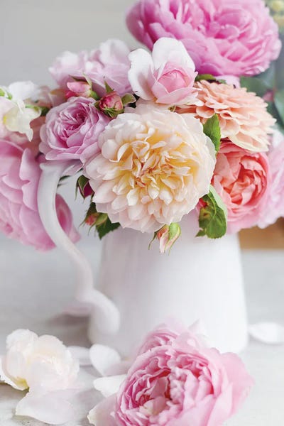 Romance of Spring