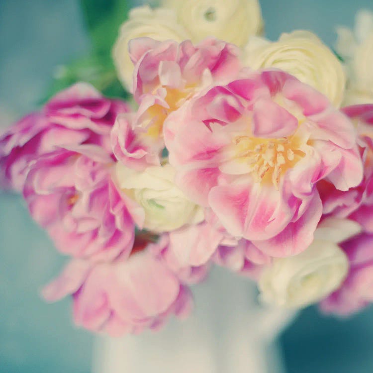 Blushing Blooms I