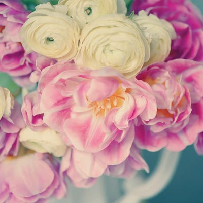 Blushing Blooms II by Sarah Gardner gallery poster