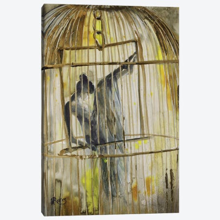 Caged Canvas Print #SRI11} by Sara Riches Canvas Art Print
