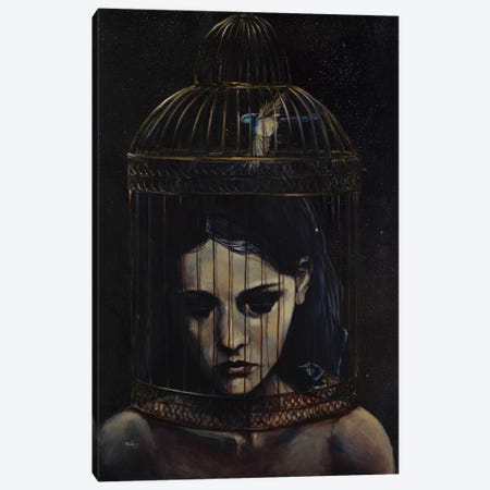 Gilded Cage Canvas Print #SRI27} by Sara Riches Canvas Art Print