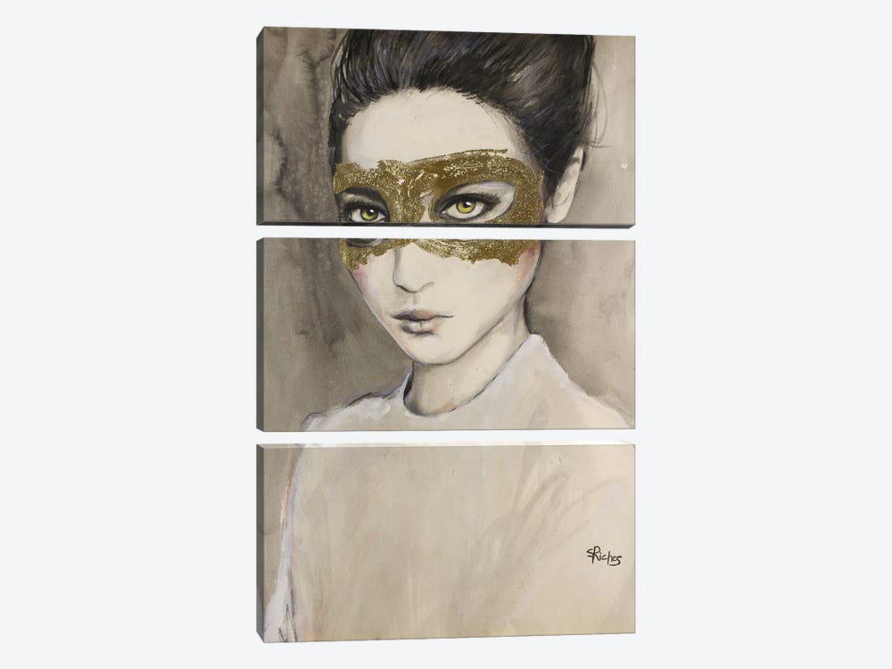 Masquerade by Sara Riches 3-piece Canvas Art