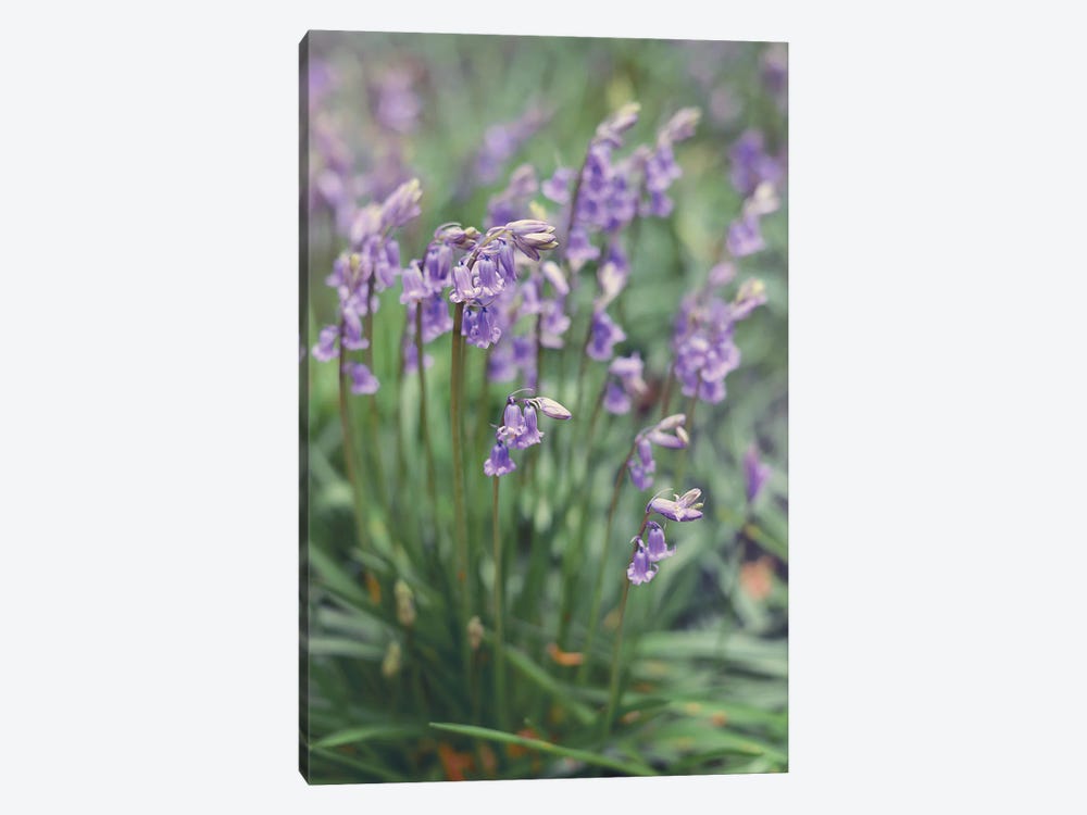 Spring Flowers by Sarah Jane 1-piece Canvas Wall Art