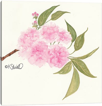 Bashful Blossoms Canvas Art Print