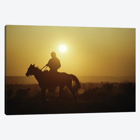 A Rancher Rounds Up Sheep On A Wyoming Farm Canvas Print #SRR156} by Joel Sartore Canvas Print