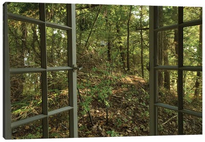 An Open Window Leads To The Back Woods Near Lake Champlain Canvas Art Print - Joel Sartore
