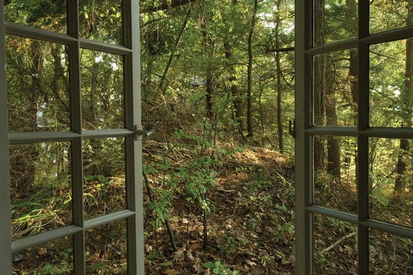 Joel Sartore: An Open Window Leads To The Back Woods Near Lake Champlain by Joel Sartore