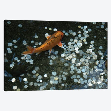 Koi With Coins In A Display At The Taronga Zoo Canvas Print #SRR291} by Joel Sartore Canvas Print