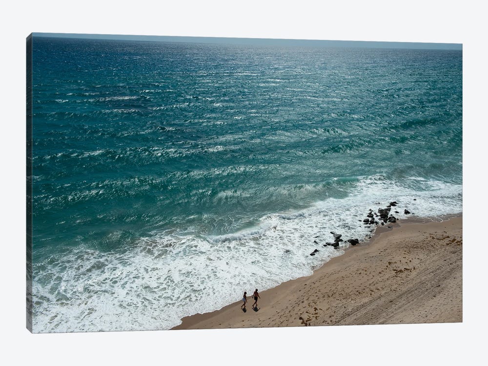 The Atlantic Ocean Off The Florida Coast by Joel Sartore 1-piece Canvas Art Print