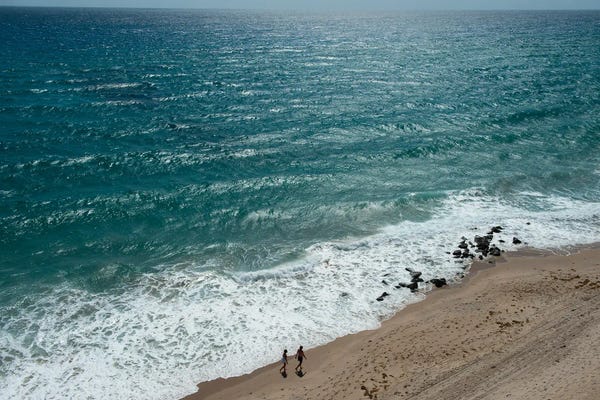Florida Beaches: The Atlantic Ocean Off The Florida Coast by Joel Sartore
