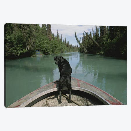 A Black Labrador Dog Travels Up The Kenai River On A Boat's Bow I Canvas Print #SRR7} by Joel Sartore Canvas Artwork
