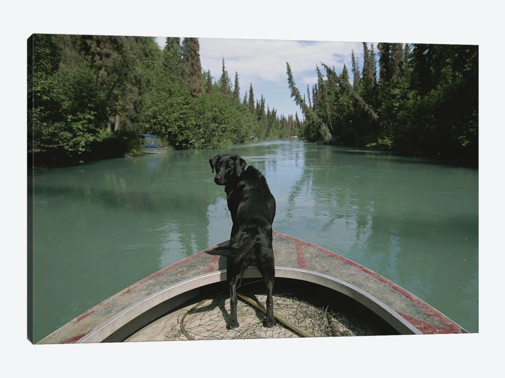 A Black Labrador Dog Travels Up The Kenai River On A Boat's Bow I by Joel Sartore 1-piece Canvas Artwork