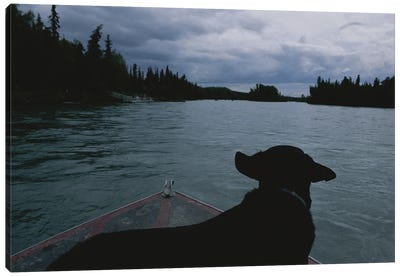 A Black Labrador Dog Travels Up The Kenai River On A Boat's Bow II Canvas Art Print - Dog Photography