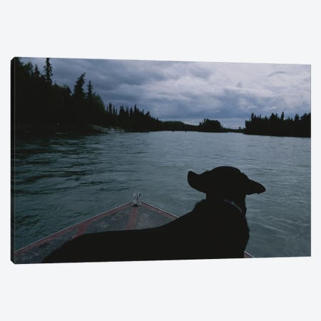 A Black Labrador Dog Travels Up The Kenai River On A Boat's Bow II Canvas Print #SRR8} by Joel Sartore Canvas Print
